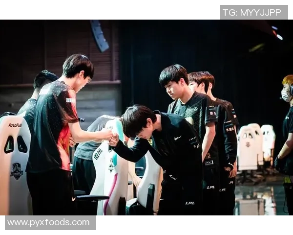 深入探讨王者荣耀RNG战队的游戏意识与团队协作策略