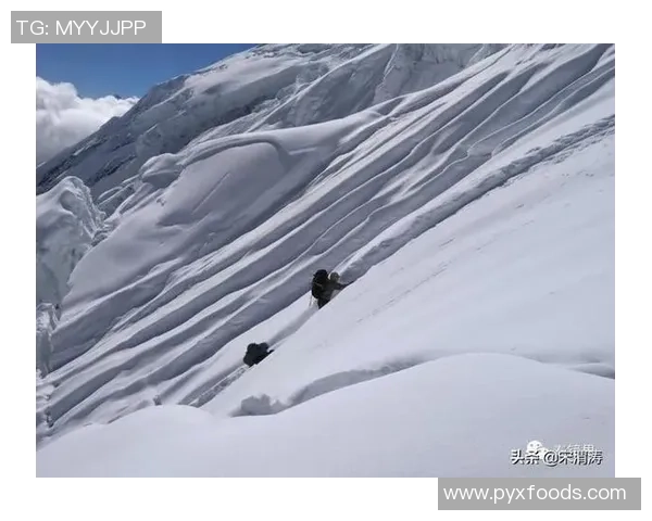 西安极限运动队团队协作表现的数据分析与提升策略探讨