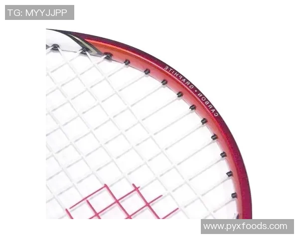 羽毛球装备选购指南护具推荐与使用技巧分享