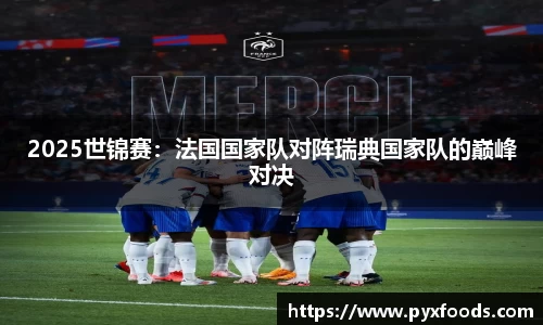 2025世锦赛：法国国家队对阵瑞典国家队的巅峰对决